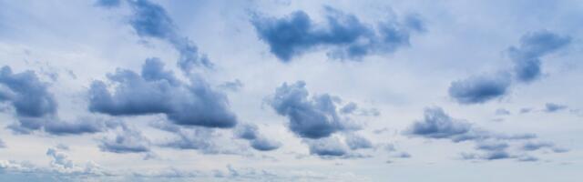 Океан и Балтийское море темнеют, и в этом нет ничего хорошего