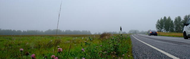 Ремонт дороги Раннаметса-Икла в Пярнумаа оказался некачественным