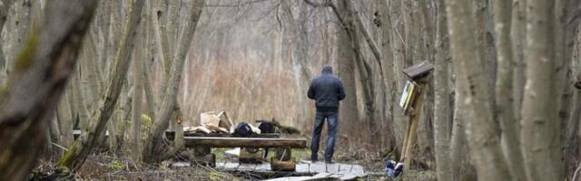 Убийца нарвской школьницы Дарьи может досрочно выйти на свободу