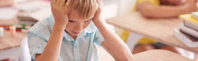 ВОПРОС-ОТВЕТ: про школьные контрольные, цены в магазине Grossi и ремонт городских объектов