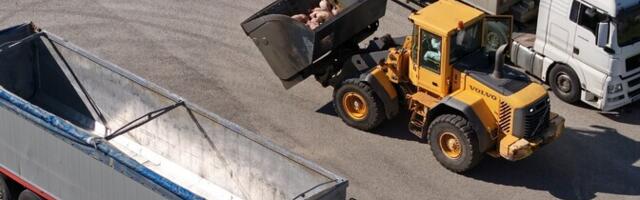 Риск распространения АЧС в Саареском, Ляэне-Вируском и Ида-Вируском уездах по-прежнему высок