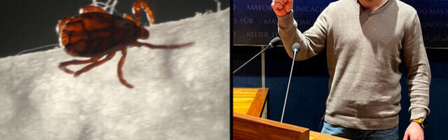 "Очевидец": разоблачитель педофилов, ловушка для иммигрантов, вегетарианцы поневоле