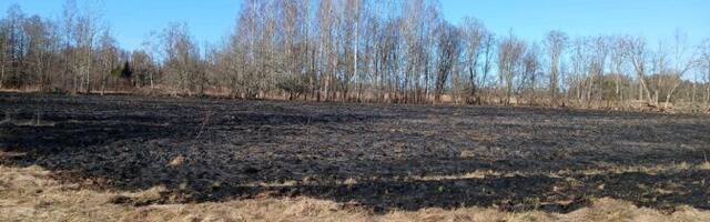 За выходные спасатели десятки раз выезжали на тушение пожаров, пострадал один спасатель