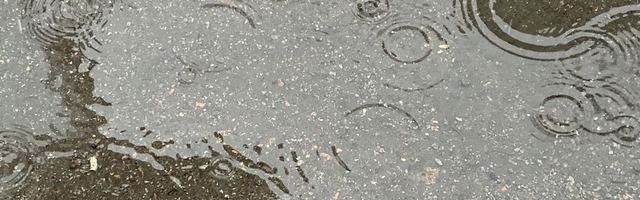 Прогноз погоды на пятницу, 17 апреля