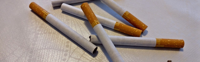 На российско-эстонской границе обнаружили тайник с сигаретами