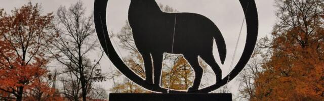 Таллиннский кинофестиваль PÖFF вновь подтвердил свой статус