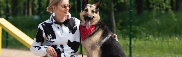 Эксперт разъясняет: может ли робот-пылесос ужиться с домашними животными?