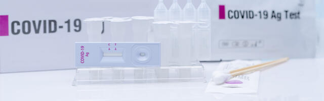 Литва: на работу только с негативным тестом. За свой счет