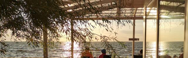 На этой неделе воздух в Эстонии прогреется до +24