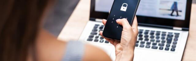 Власти Великобритании хотят догнать Эстонию. Но не раньше 2029 года