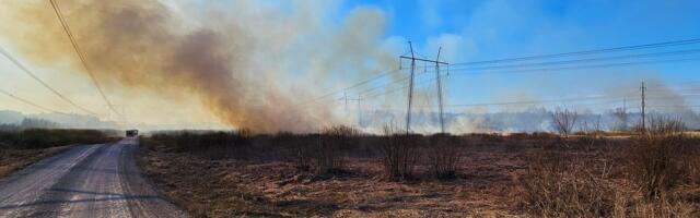ВИДЕО и ФОТО | В Ида-Вирумаа горит большое поле сухой травы