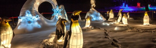 Волшебный парк света продолжит работать на Певческом поле в новом формате