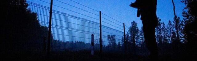 На границе Литвы с Беларусью второй раз в этом году пограничники развернули 48 мигрантов