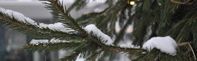 В пятницу местами слабый снег, -4..-10