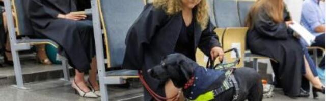 Польский вуз впервые вручил диплом собаке-поводырю, которая помогала слабовидящей студентке ориентироваться в пространстве и ходить на занятия