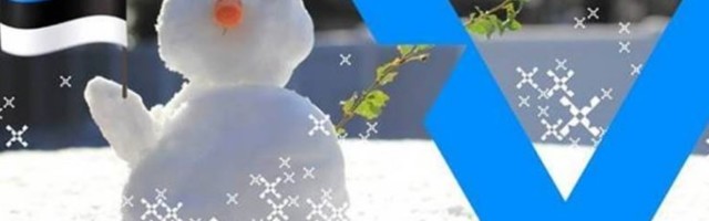 24 февраля возле музея Vabamu можно будет соорудить посвященные Эстонии снежные скульптуры