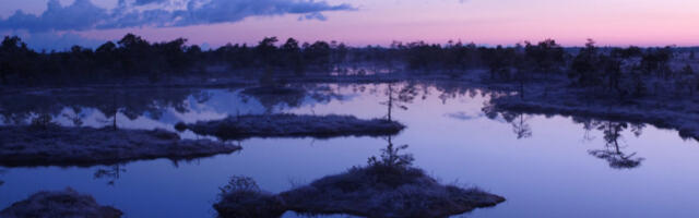 Кинофонд Тарту объявил приём заявок на поддержку фильмов и сериалов