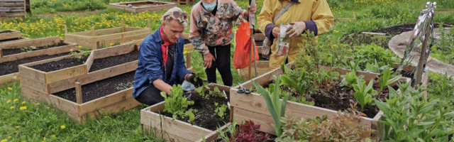 Садовая терапия: в Таллине проходят бесплатные занятия на общинных огородах