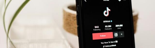 TikTok грозит штраф за нарушение цифрового законодательства ЕС