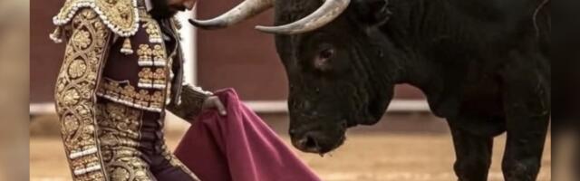Правдивы ли эти посты о матадоре, передумавшем бороться с быком?