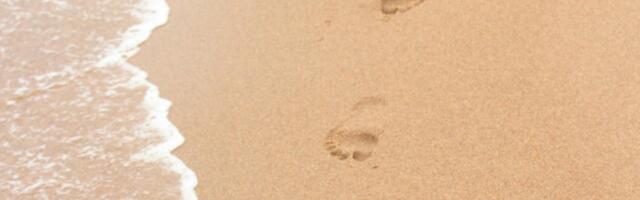 Департамент здоровья: купаться у „Русалки“ опасно!