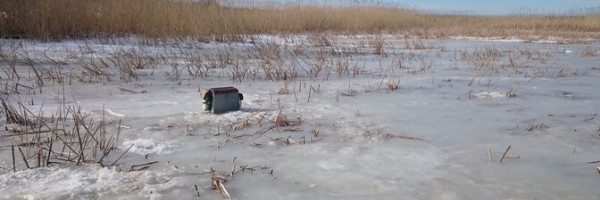 Спасательный департамент смягчил ограничения выхода на лед