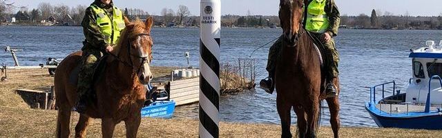 Идаская префектура временно ввела конное патрулирование