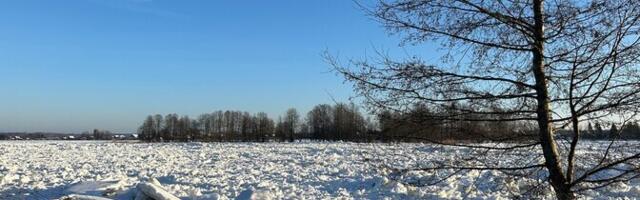 ФОТО: в деревне Кунингакюла образовались торосы на реке Нарва