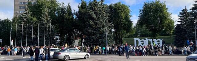 В Нарве таможенники нашли у мужчины в карманах 70 живых пчел