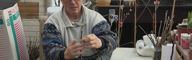 Переживший потерю дома садовник: прошлое не изменить, но можно выбрать, как жить дальше