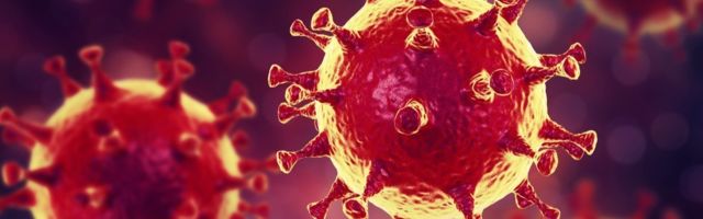 В Эстонии нет скрытого распространения коронавируса