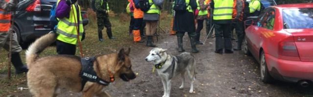 Если надо, волонтеры Ида-Вирумаа готовы собраться в первый же день поиска