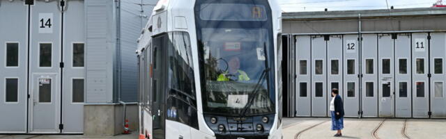 Насколько популярны и комфортны автобусы и трамваи в Таллинне — исследование