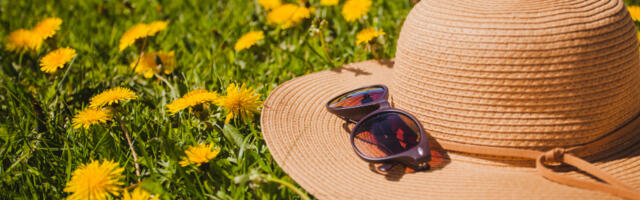 В ближайшие дни воздух в Эстонии прогреется до 28 градусов