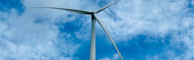 Власти Хаапсалу возмущены планом литовской фирмы построить ветропарк рядом с заповедником