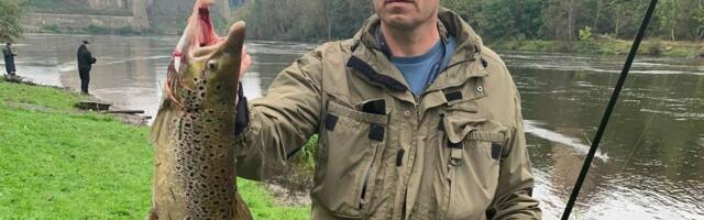 Юбилейный «Нарвский лосось» отметился добычей на три кило