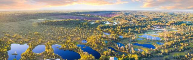 National Geographic выбрал лучшие места Эстонии, которые можно посетить за два дня