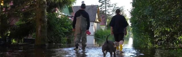 „Здесь закопаны деньги, пот и слезы“: садоводы Нарвы о затоплении