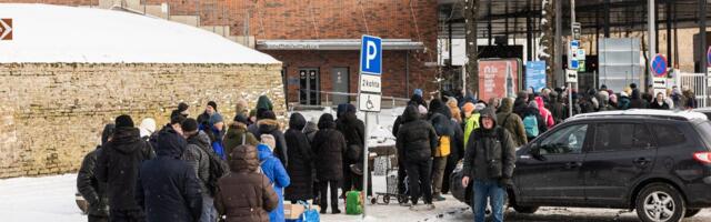 Эстонская таможня завернула: на литовских машинах белорусские водители везут в РФ загадочные саженцы
