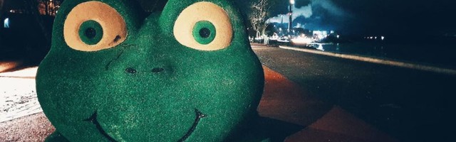 Будьте внимательны: лягушки проснулись и массово переходят дорогу