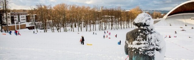 Катание с горы на санках и лыжах - основная причина обращений детей в травмпункт
