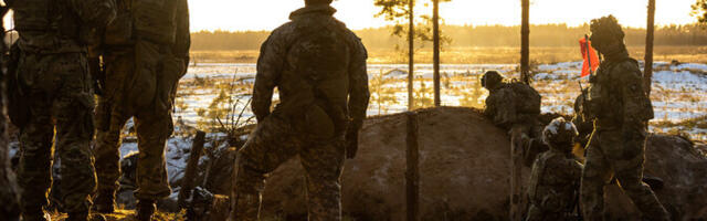 Financial Times: США сворачивают программу военной помощи странам Европы, граничащим с Россией