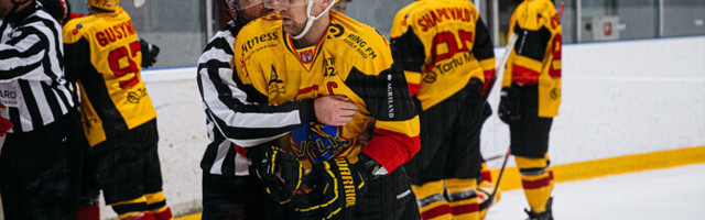 Чемпионом Эстонии по хоккею в 12-й раз стал тартуский "Вялк"