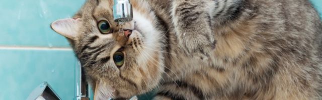 В Нарве в июле четыре дня не будет горячей воды