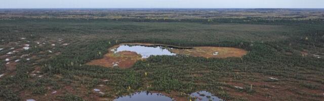 Решение о расширении национального парка Алутагузе могут принять, не дожидаясь ответа волости