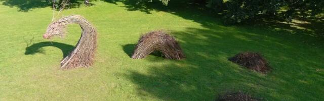 Пярнуский прибрежный парк украсил морской дракон из веток