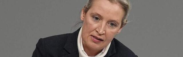 Вайдель высказалась за восстановление экономических связей с РФ
