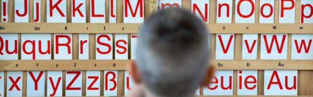 В Германии обеспокоены знанием языка детьми