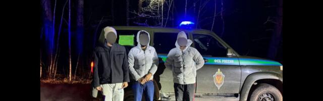 Вблизи Печор были задержаны три человека, пытавшихся пересечь границу с Эстонией