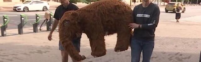 Музеи прислали экспонаты в Таллинн, чтобы напомнить столичным жителям о себе